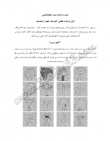 تست درخت (تست خودشناسی)